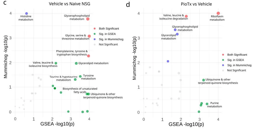 Untargeted metabolomics of the Tibialis anterior muscle